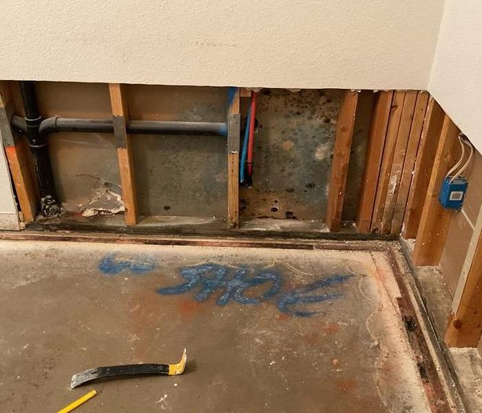 Mold in the wall cavity 